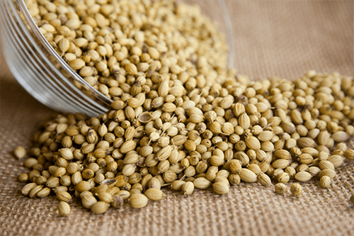 Coriander Seeds-min