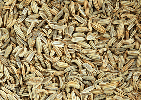 Fennel Seeds-min