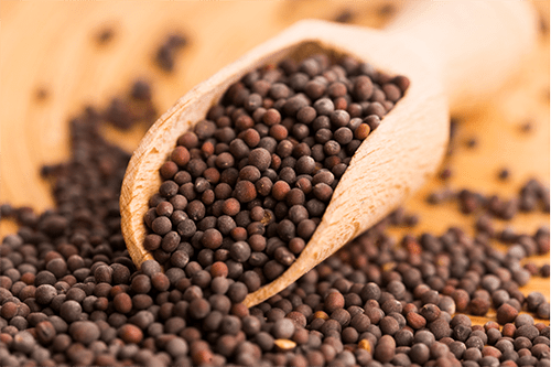 Mustard Seeds-min