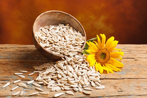 Sunflower Seeds