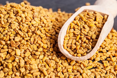 Fenugreek seeds
